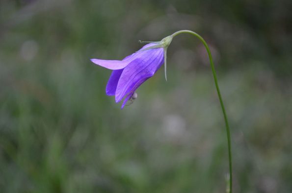 dsc_0168a