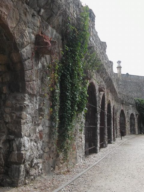 ksiaz5